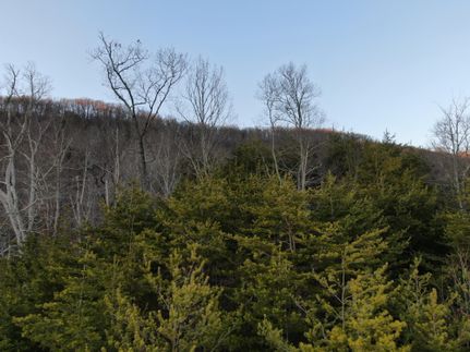 Farm and Ranch in Claiborne County, Tennessee