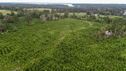 Farm and Ranch in Marion County, Texas