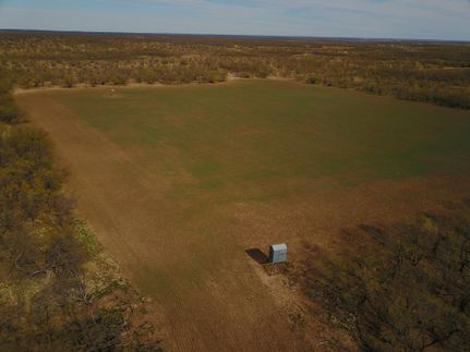 Undeveloped Land in Concho County, Texas