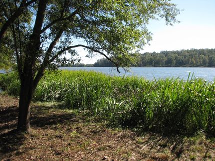 Recreational Property in Wilcox County, Alabama