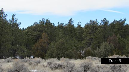 Farm and Ranch in Weston County, Wyoming