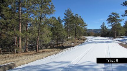 Farm and Ranch in Weston County, Wyoming