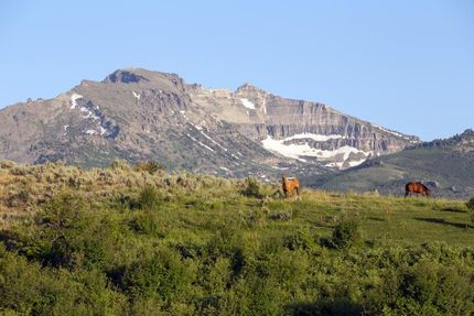 Horse Property in Elko County, Nevada
