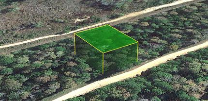 Farm and Ranch in Liberty County, Texas