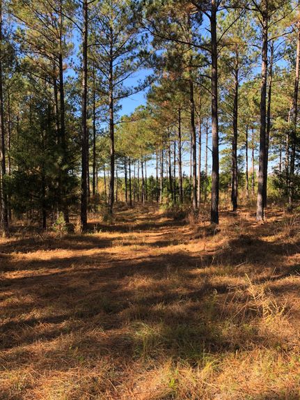 Farm and Ranch in Kershaw County, South Carolina