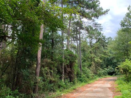Land for sale in Newton County, Texas