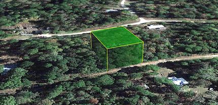 Timberland Property in Liberty County, Texas