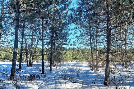 Farm and Ranch in Oneida County, Wisconsin
