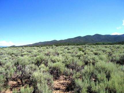 Timberland Property in Costilla County, Colorado