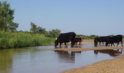 Undeveloped Land in Beckham County, Oklahoma