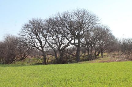 Recreational Property in Hardeman County, Texas