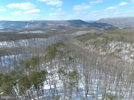 Timberland Property in Hampshire County, West Virginia