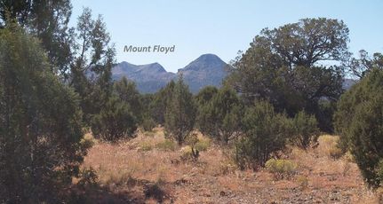 Farm and Ranch in Coconino County, Arizona