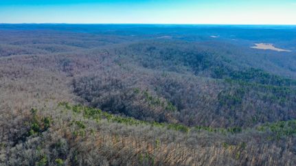 Undeveloped Land in Shannon County, Missouri