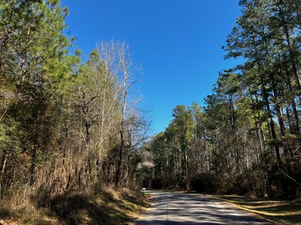 Timberland Property in Polk County, Texas