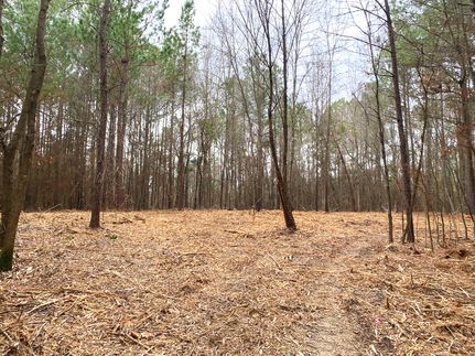 Undeveloped Land in Upshur County, Texas