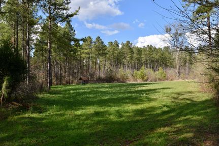 Timberland Property in Macon County, Georgia