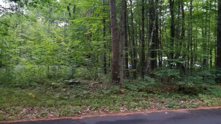 Undeveloped Land in Sawyer County, Wisconsin