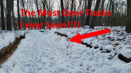 Recreational Property in Crawford County, Michigan