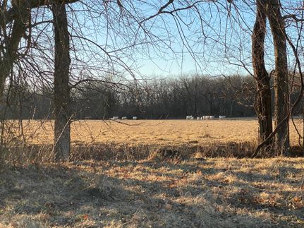 Recreational Property in Cedar County, Missouri