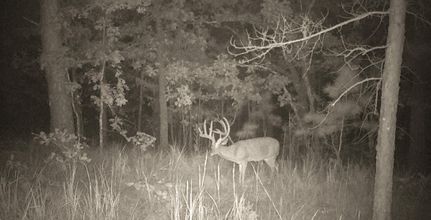 Recreational Property in Latimer County, Oklahoma