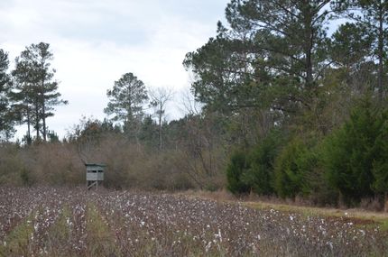 Undeveloped Land in Stewart County, Georgia