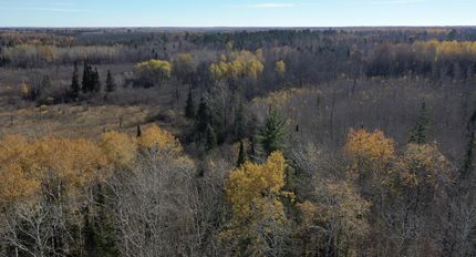 Timberland Property in Cass County, Minnesota