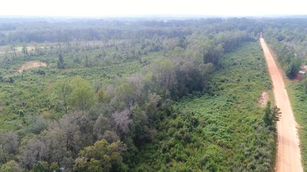 Farm and Ranch in Conecuh County, Alabama