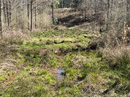 Recreational Property in Pike County, Alabama