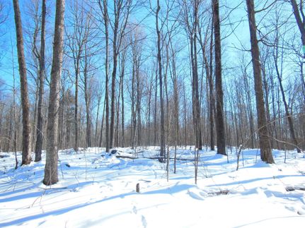 Recreational Property in Shawano County, Wisconsin