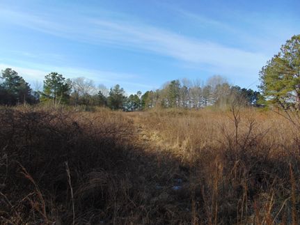Timberland Property in Vance County, North Carolina