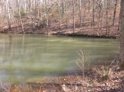 Farm and Ranch in Pickens County, Georgia