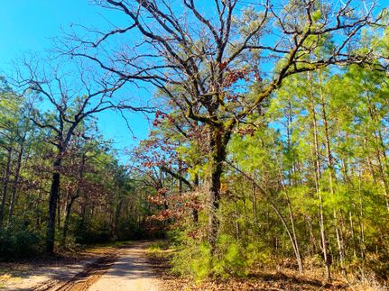 Recreational Property in Walker County, Texas