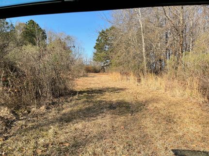 Hunting Property in Caldwell Parish, Louisiana