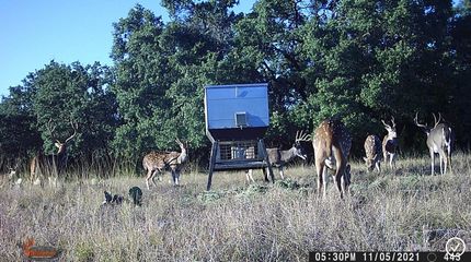 Farm and Ranch in Edwards County, Texas