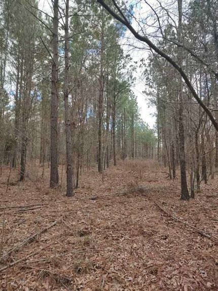 Recreational Property in Harrison County, Texas