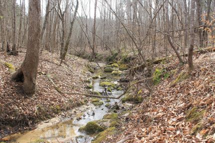 Farm and Ranch in Amelia County, Virginia