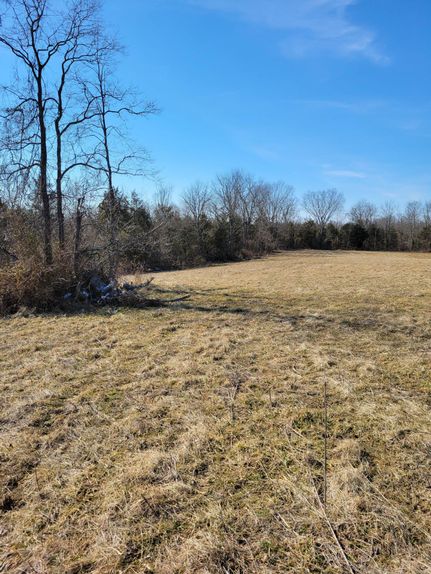 Recreational Property in Lewis County, Kentucky