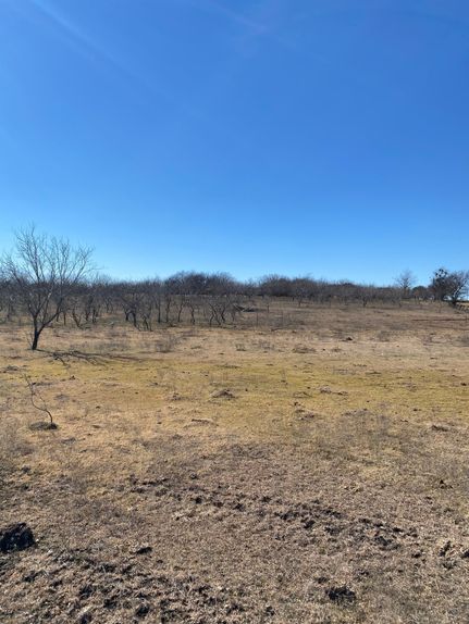 Timberland Property in Ellis County, Texas