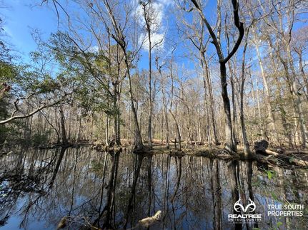 Farm and Ranch in Jasper County, South Carolina