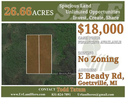 Undeveloped Land in Chippewa County, Michigan