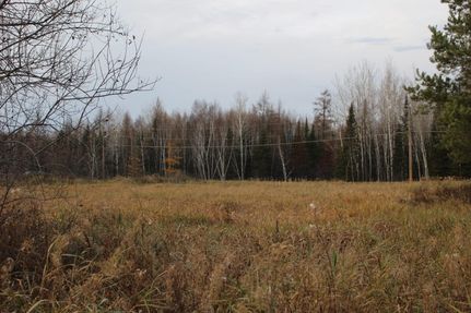 Hunting Property in Saint Louis County, Minnesota