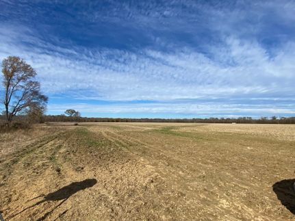 Timberland Property in Attala County, Mississippi