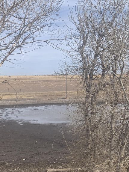 Undeveloped Land in Gray County, Texas