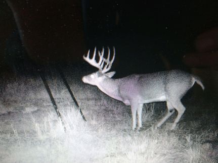 Timberland Property in Seminole County, Oklahoma