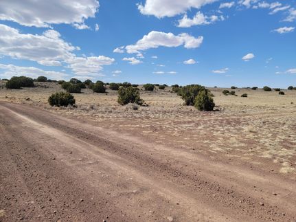 Undeveloped Land in Apache County, Arizona