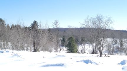 Undeveloped Land in Otsego County, Michigan