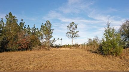 Farm and Ranch in Escambia County, Florida