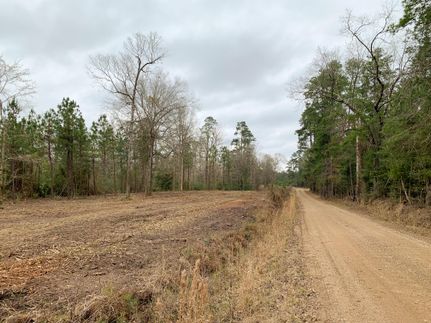 Recreational Property in Angelina County, Texas
