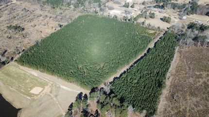 Undeveloped Land in Columbia County, Arkansas